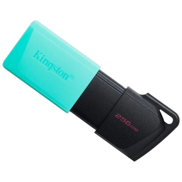 Kingston DataTraveler Exodia M 256GB (Model: DTXM/256GB)